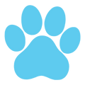 BPA-Free & Pet Safe